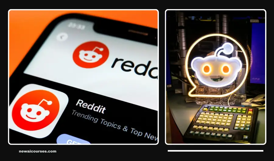 Reddit monetization of artificial intelligence (AI)